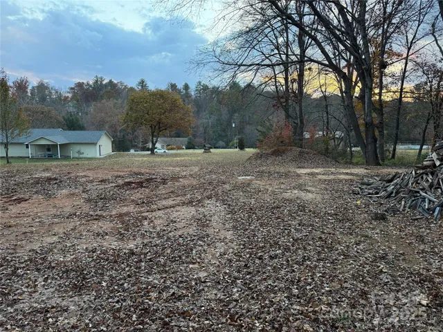 a view of a yard with a tree