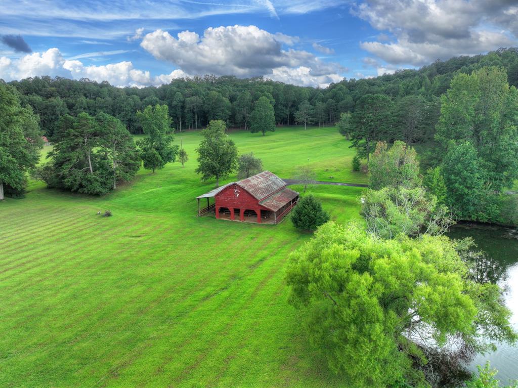 167 Whispering Pne Lane Cherry Log, GA 30522 - Photo 1 of 87 Main View