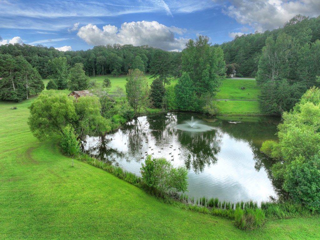 167 Whispering Pne Lane Cherry Log, GA 30522 - Photo 15 of 87