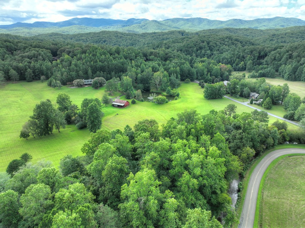 167 Whispering Pne Lane Cherry Log, GA 30522 - Photo 16 of 87 a view of a lush green forest with trees and some houses