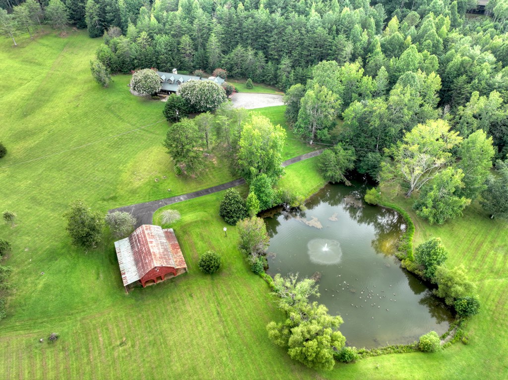 167 Whispering Pne Lane Cherry Log, GA 30522 - Photo 18 of 87