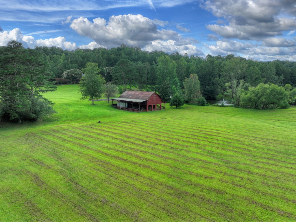 167 Whispering Pne Lane Cherry Log, GA 30522 - Photo 19 of 87