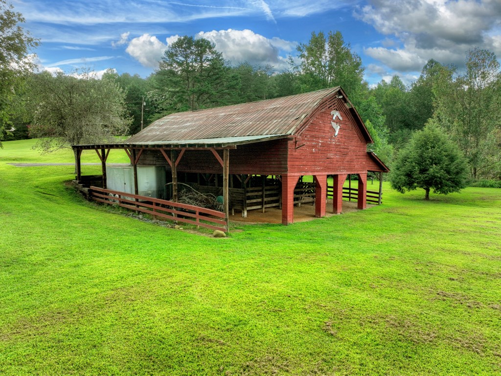 167 Whispering Pne Lane Cherry Log, GA 30522 - Photo 20 of 87 a backyard of a house with lots of green space