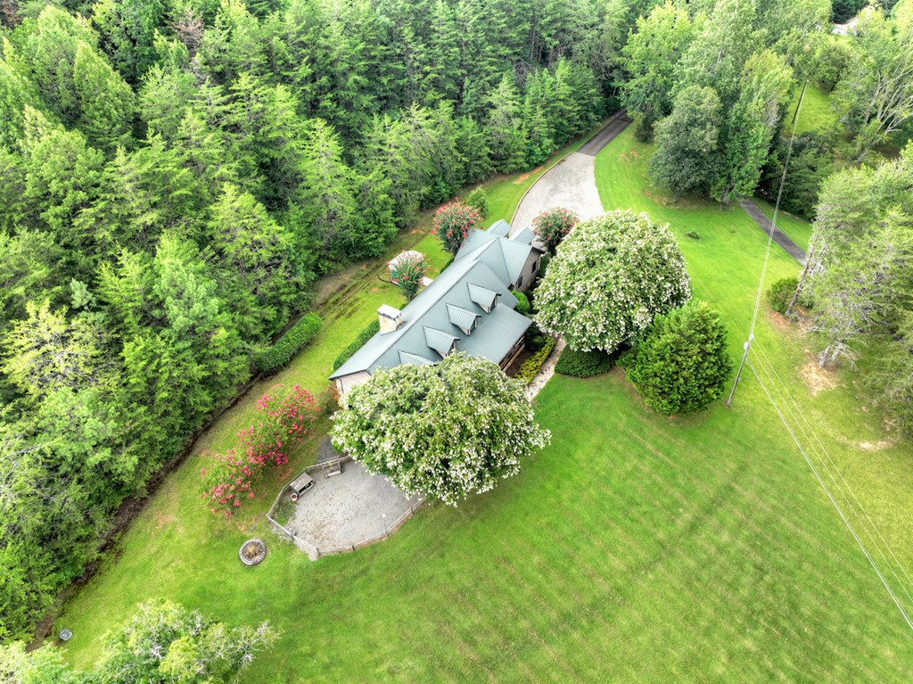 167 Whispering Pne Lane Cherry Log, GA 30522 - Photo 22 of 87 a view of a garden with an outdoor space