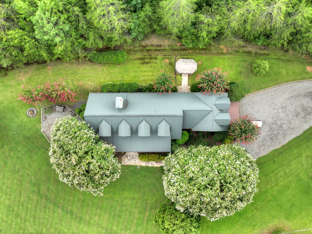 167 Whispering Pne Lane Cherry Log, GA 30522 - Photo 23 of 87 a view of a lake with a yard