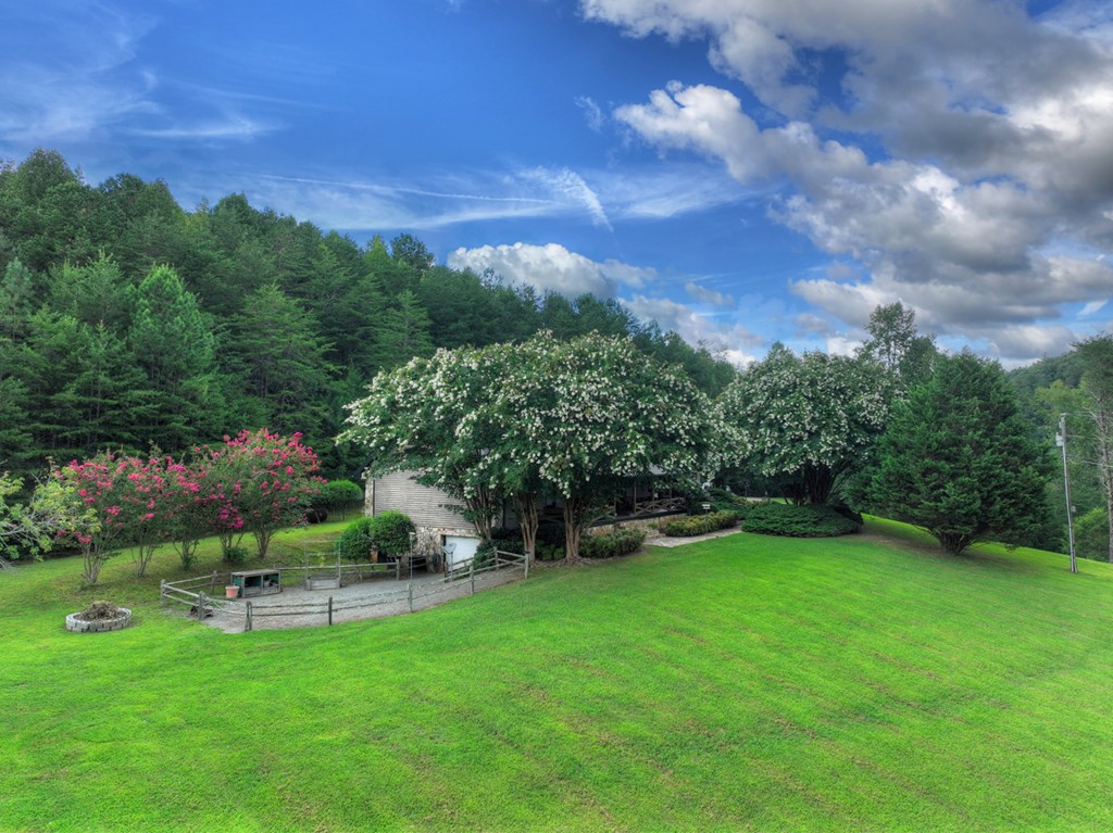 167 Whispering Pne Lane Cherry Log, GA 30522 - Photo 25 of 87 a garden view with a seating space