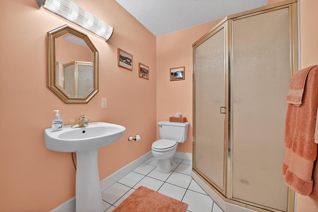 167 Whispering Pne Lane Cherry Log, GA 30522 - Photo 37 of 87 a bathroom with a sink a mirror and a toilet