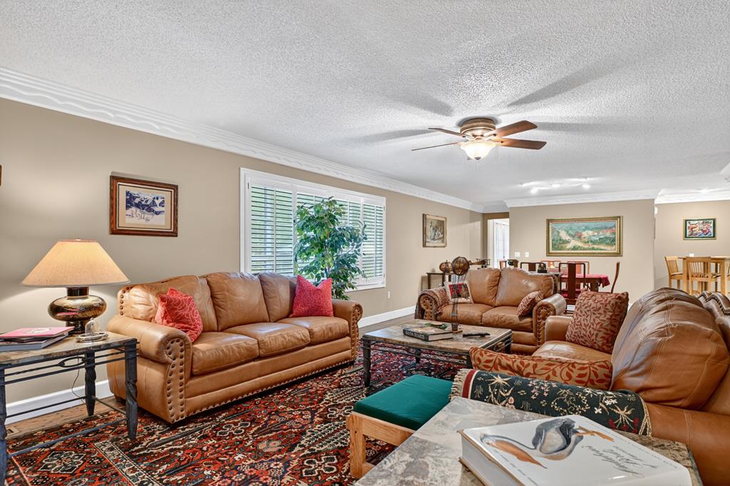 167 Whispering Pne Lane Cherry Log, GA 30522 - Photo 39 of 87 a living room with furniture ceiling fan and a window