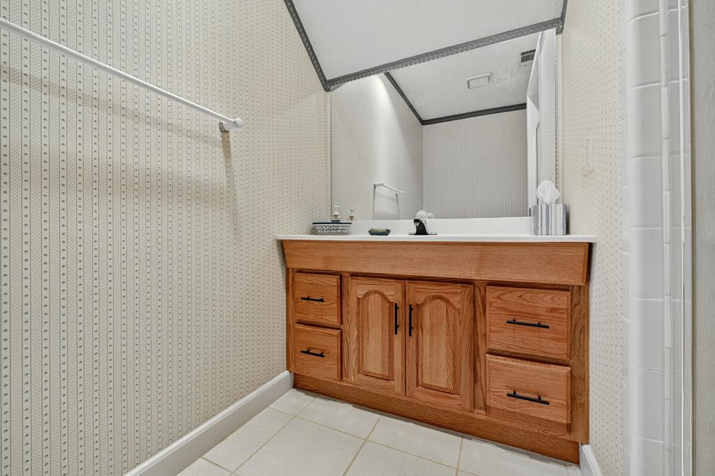 167 Whispering Pne Lane Cherry Log, GA 30522 - Photo 49 of 87 a bathroom with a sink a vanity and a mirror