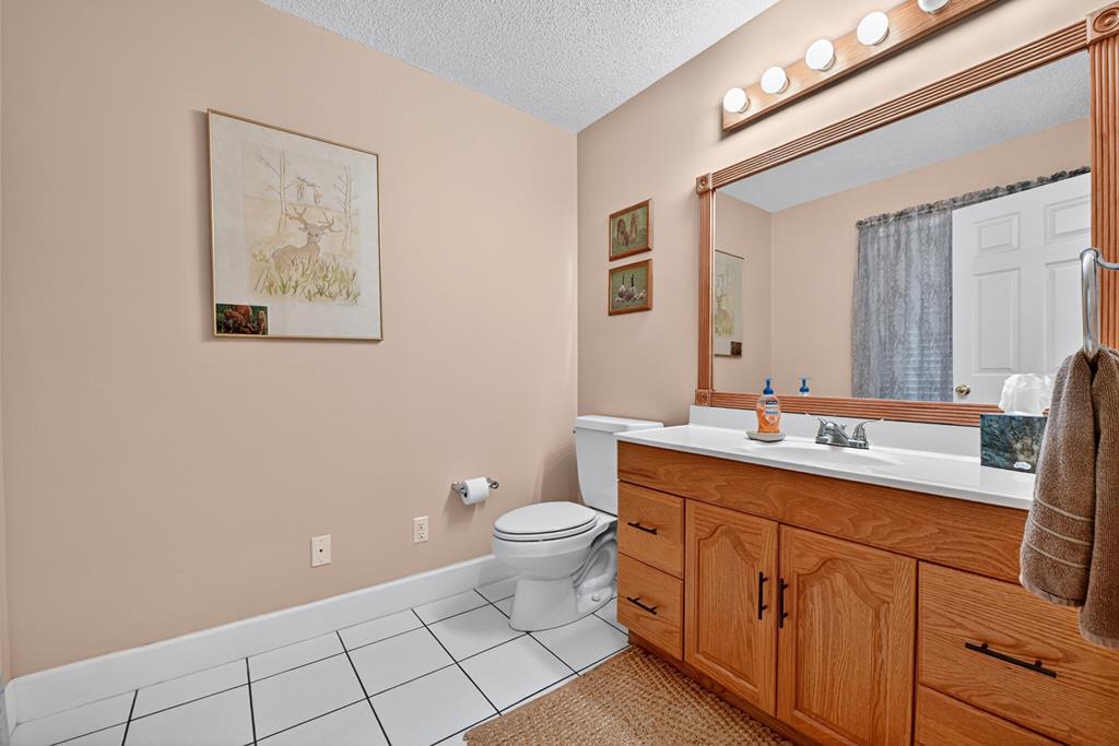 167 Whispering Pne Lane Cherry Log, GA 30522 - Photo 60 of 87 a bathroom with a toilet sink and mirror