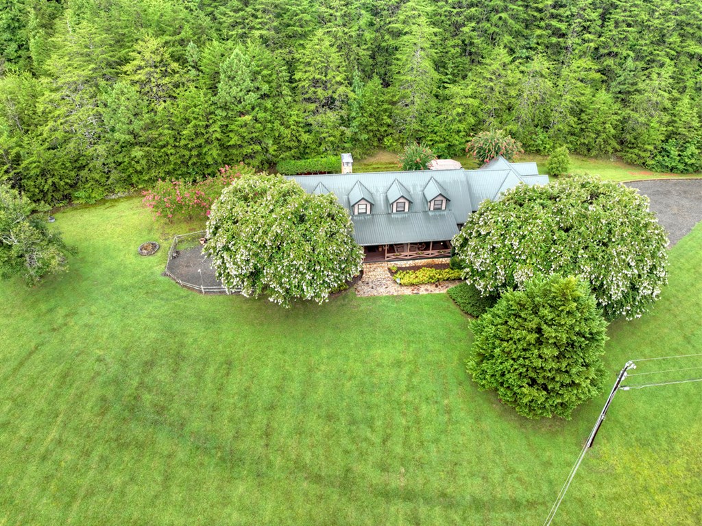 167 Whispering Pne Lane Cherry Log, GA 30522 - Photo 6 of 87