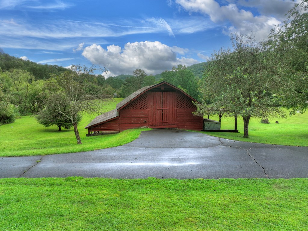 167 Whispering Pne Lane Cherry Log, GA 30522 - Photo 7 of 87 a backyard of a house with lots of green space