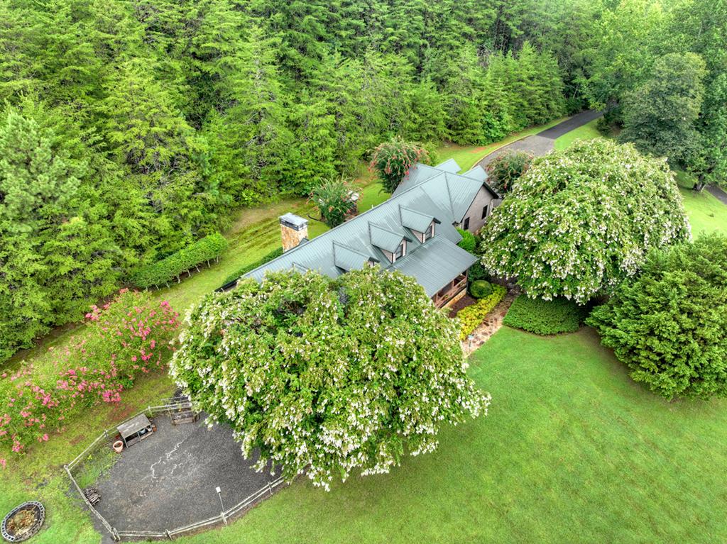 167 Whispering Pne Lane Cherry Log, GA 30522 - Photo 73 of 87