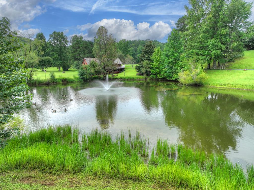 167 Whispering Pne Lane Cherry Log, GA 30522 - Photo 77 of 87