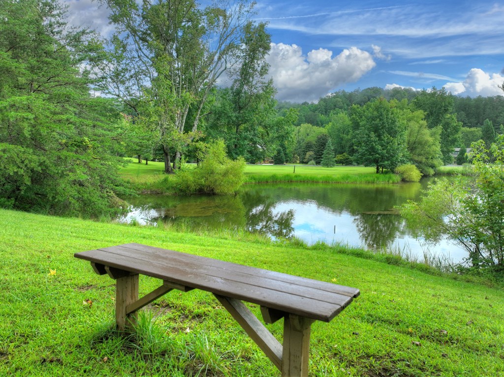 167 Whispering Pne Lane Cherry Log, GA 30522 - Photo 8 of 87