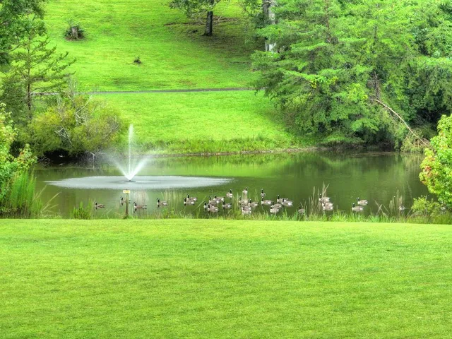 $1,290,000 | 167 Whispering Pne Lane, Cherry Log, GA 30522