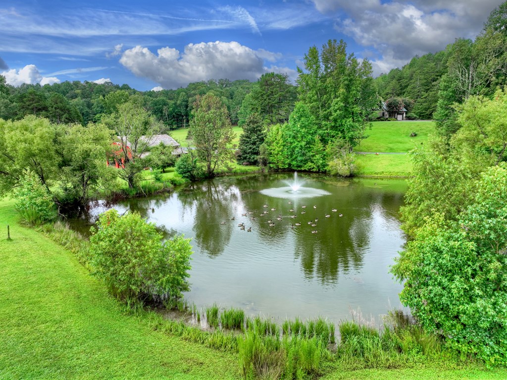 167 Whispering Pne Lane Cherry Log, GA 30522 - Photo 9 of 87