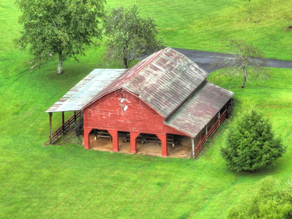 167 Whispering Pne Lane Cherry Log, GA 30522 - Photo 10 of 87 a view of a house with a backyard
