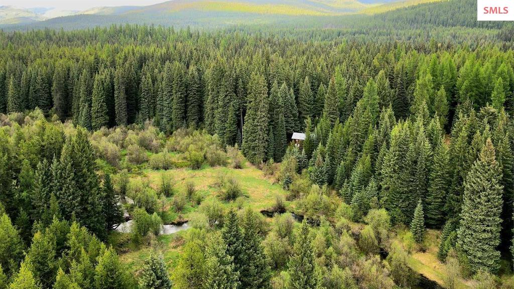 31975 South Fork Yaak Road Troy, MT 59935 - Photo 26 of 30