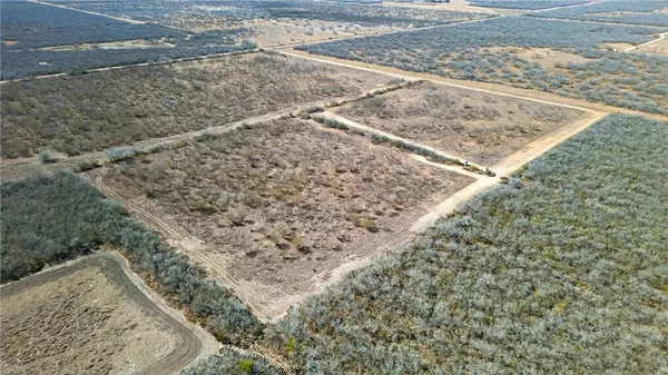 a view of a dry yard with wooden floor