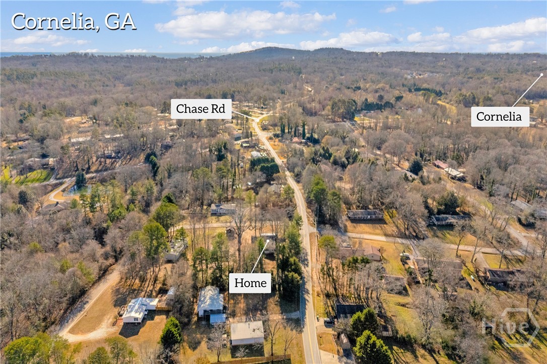 1616 Lawrence Street Cornelia, GA 30531 - Photo 29 of 30