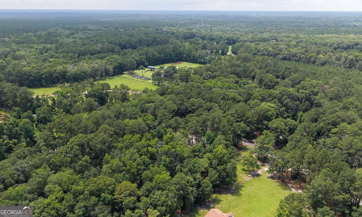 293 Anza Lane Rincon, GA 31326 - Photo 4 of 33
