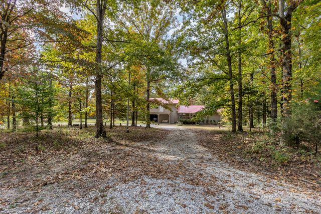a view of a yard with a tree
