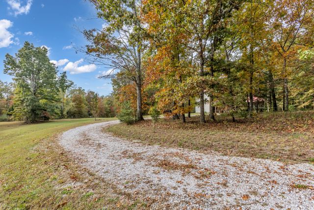 a view of outdoor space with large trees