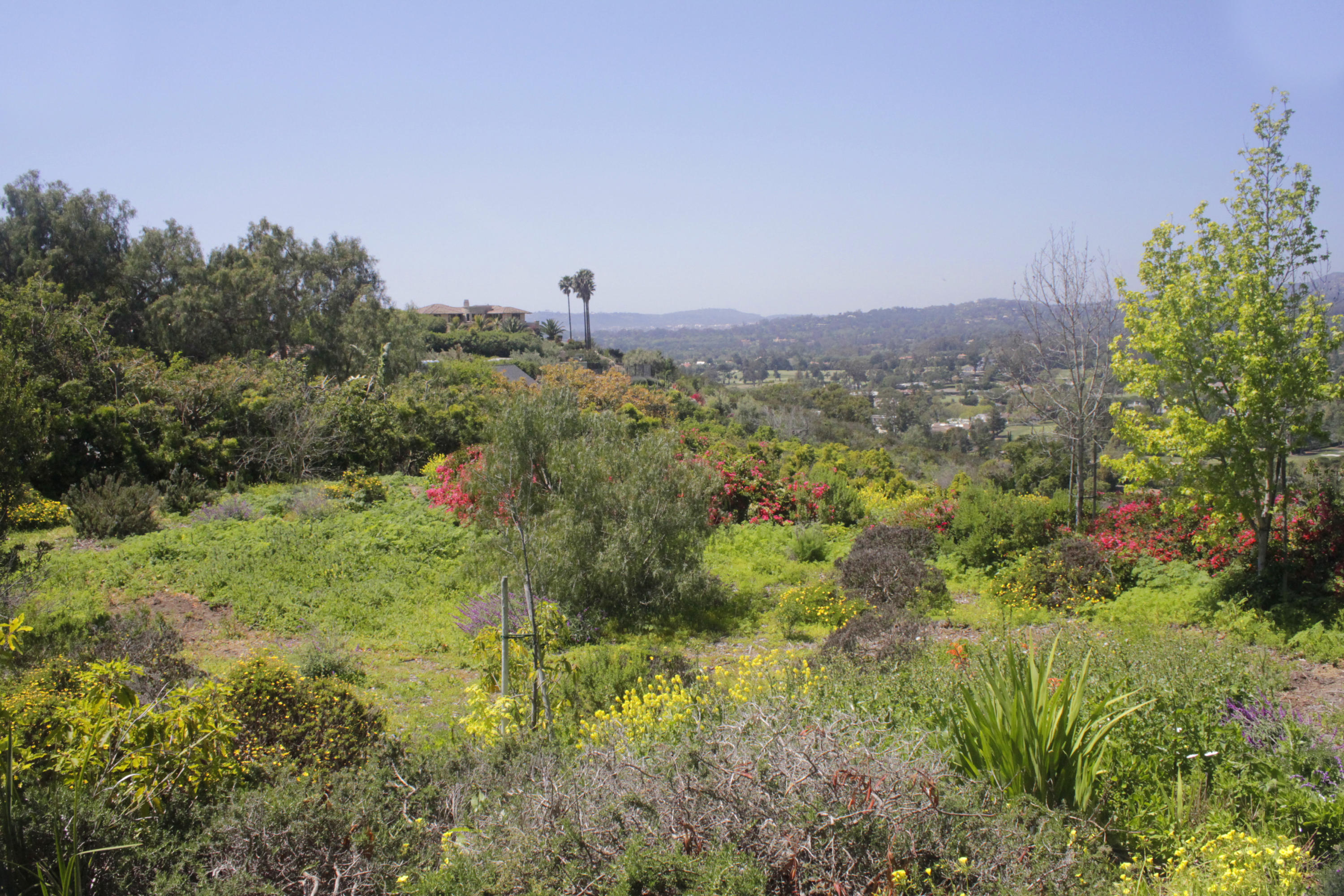 371 Ortega Ridge Road Santa Barbara, CA 93108 - Photo 6 of 7 a view of a green field with lots of bushes
