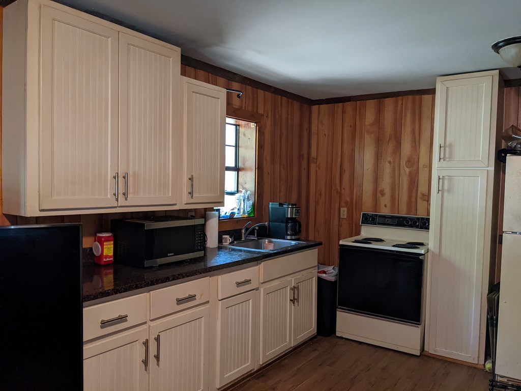 125 Pleasant Grove Road Ashford, AL 36312 - Photo 4 of 10 Gallery Image 4