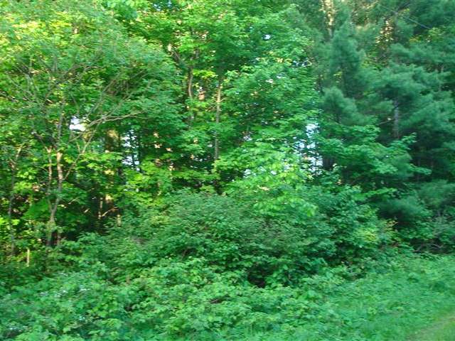 On Arbutus Street, Unit 29 33 Rhinelander, WI 54501 - Photo 2 of 3 Gallery Image 2