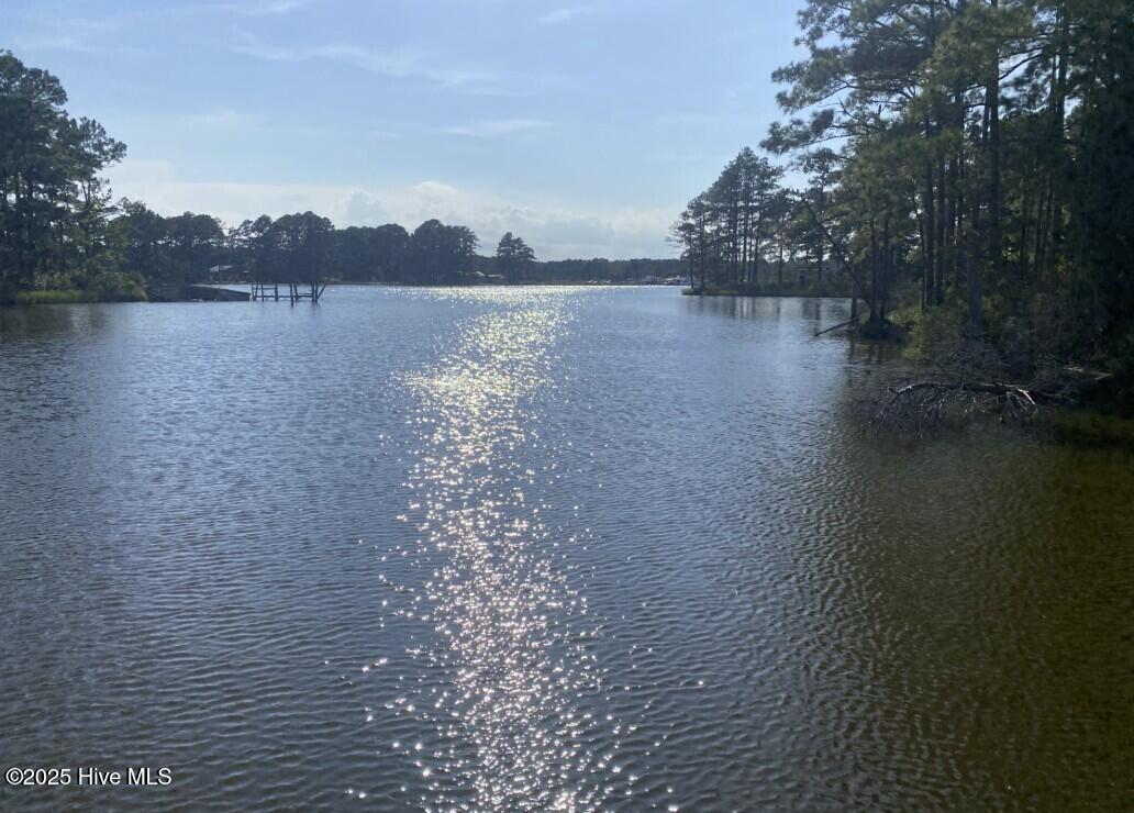 Lot 51 Sunset Point Road Belhaven, NC 27810 - Photo 6 of 6 Boat ramp view