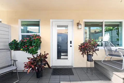 a potted plant sitting in front of a house