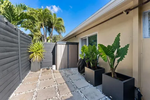 a potted plant in front of a door