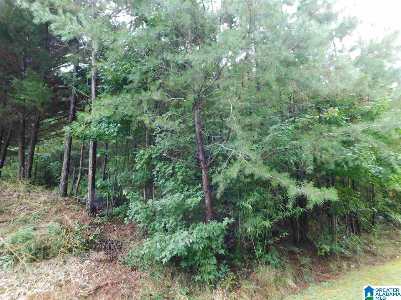 133 County Road, Unit 2 & 3 Empire, AL 35063 - Photo 15 of 15