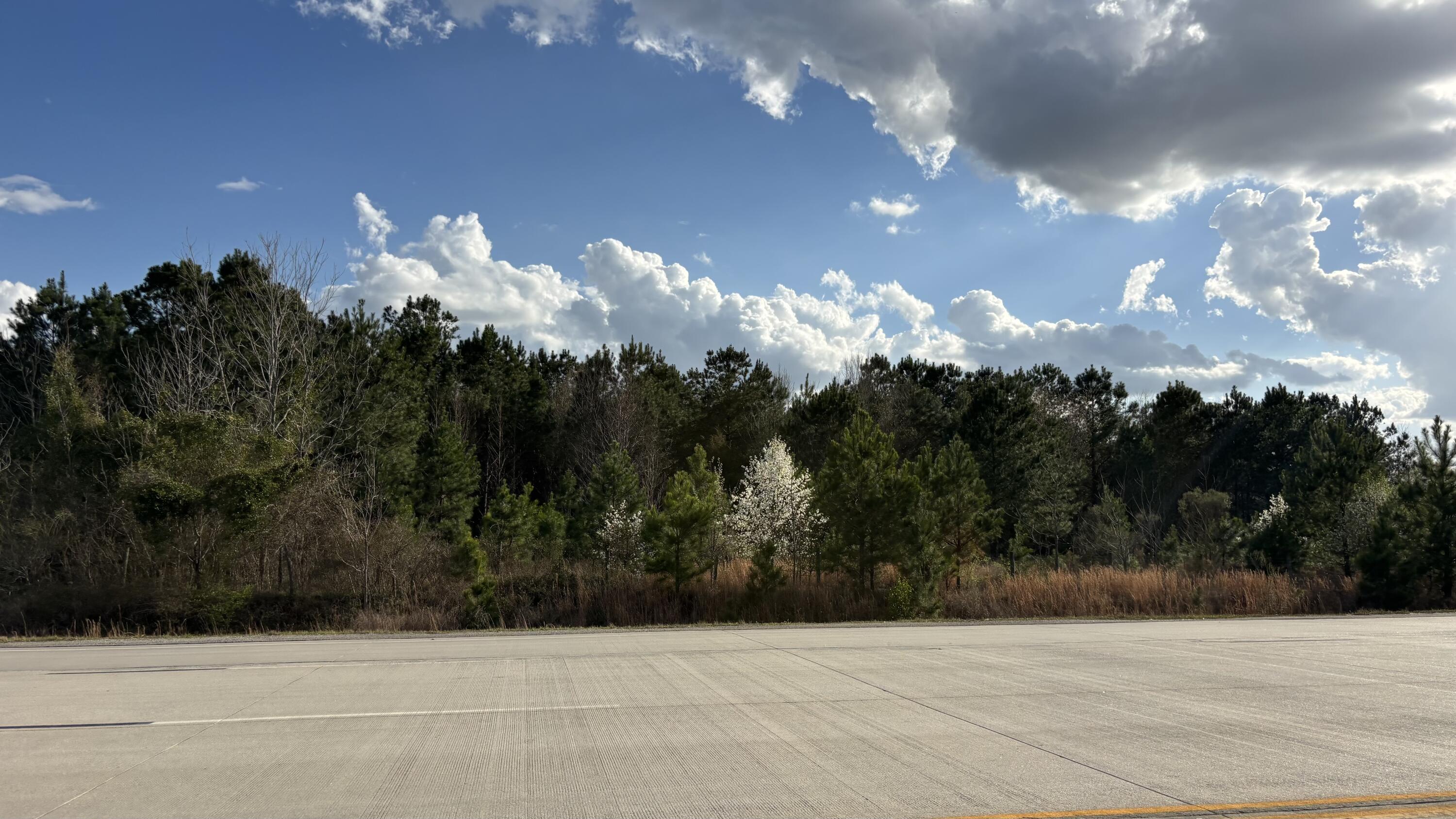 0 Five Five Chop Road Vance, SC 29163 - Photo 6 of 6