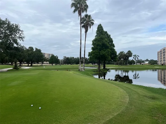 a view of a park with large trees