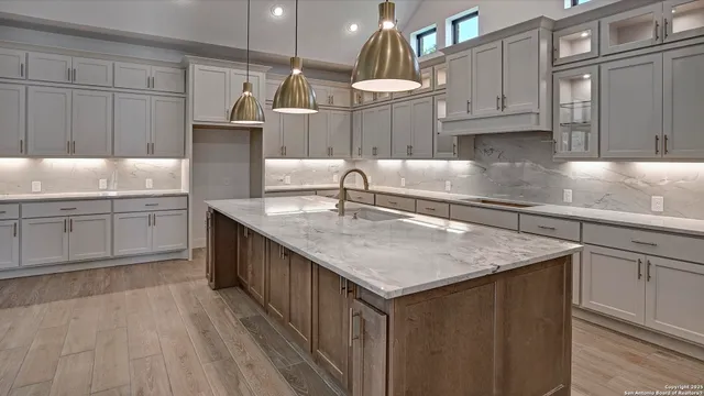 $789,900 | 187 Gather Street, Castroville, TX 78009