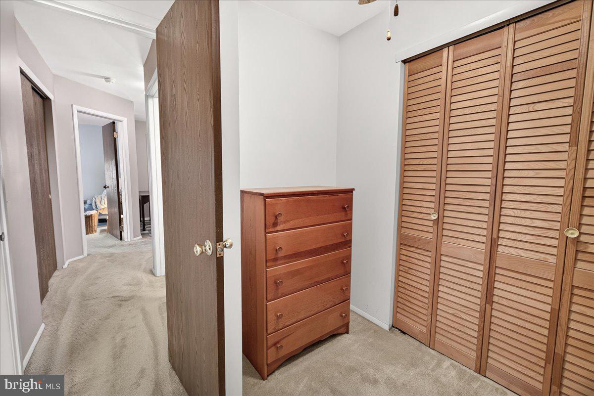 7047 Catalpa Road Frederick, MD 21703 - Photo 43 of 118 Primary suite dressing area
