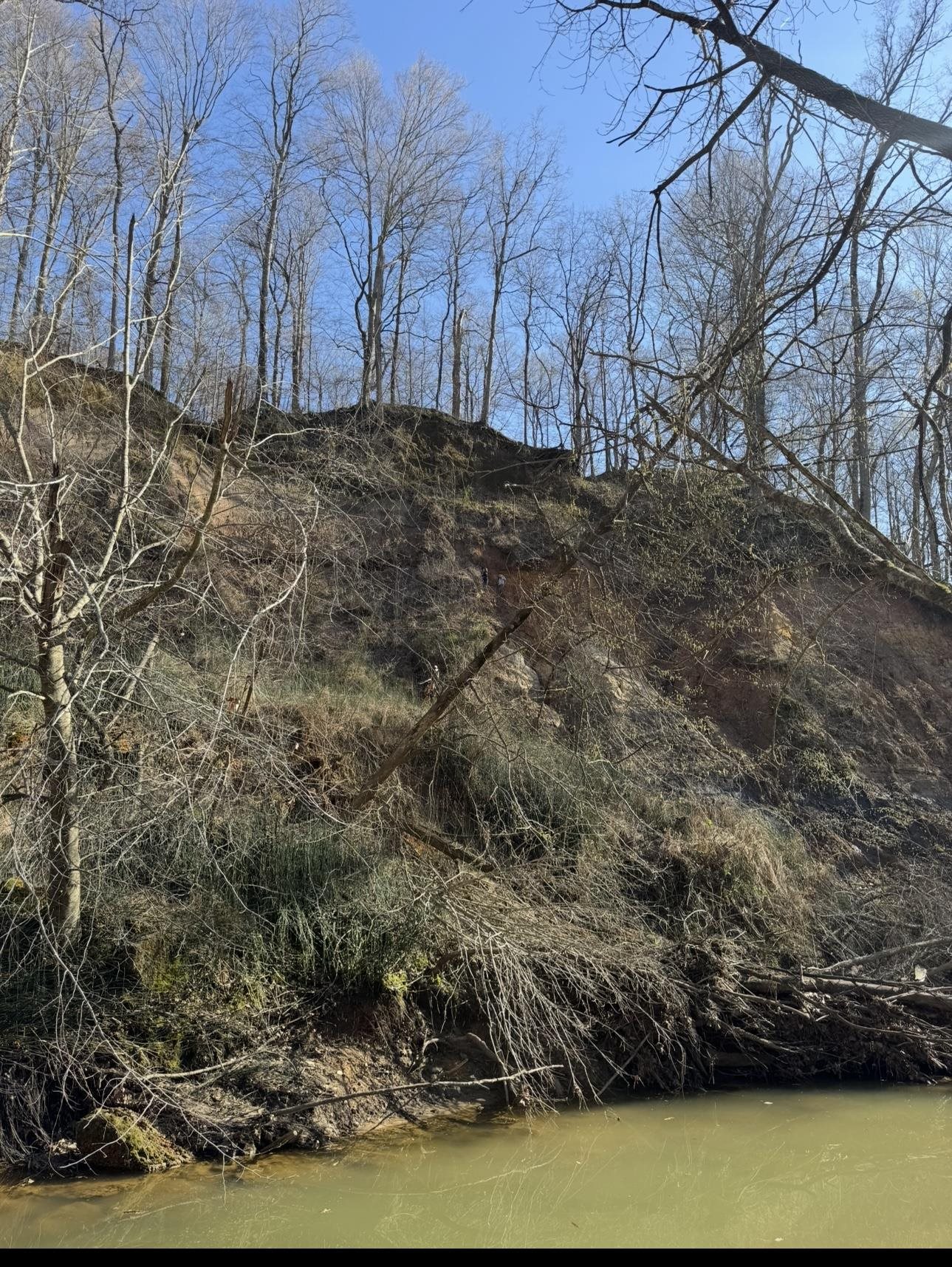 0 Sneed Road Drummonds, TN 38023 - Photo 14 of 20
