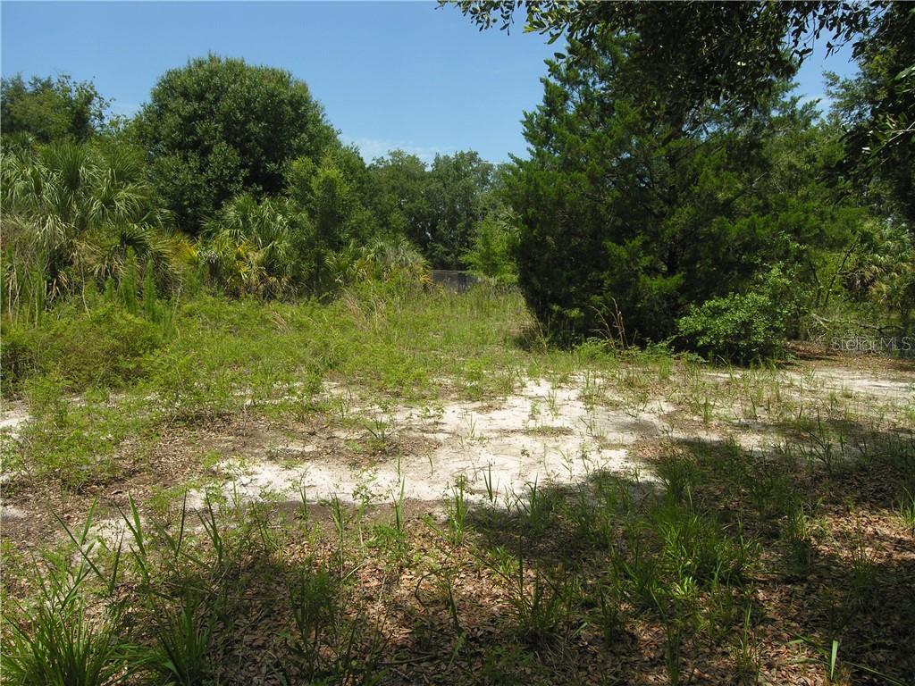 Smokey Drive Hudson, FL 34669 - Photo 1 of 1 a view of yard with green space