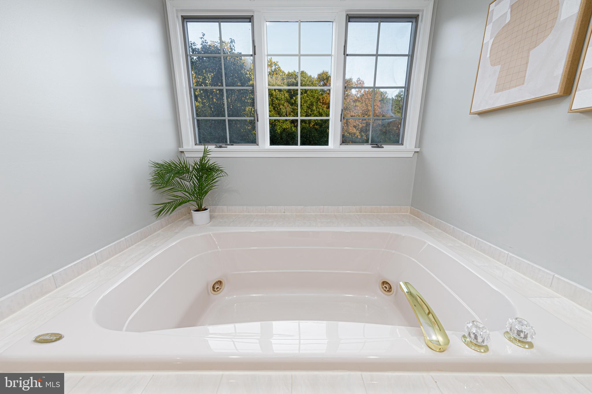 1006 Springvale Road Great Falls, VA 22066 - Photo 36 of 72 Large soaking tub