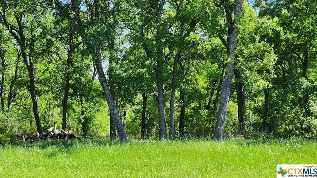 a view of a lush green space