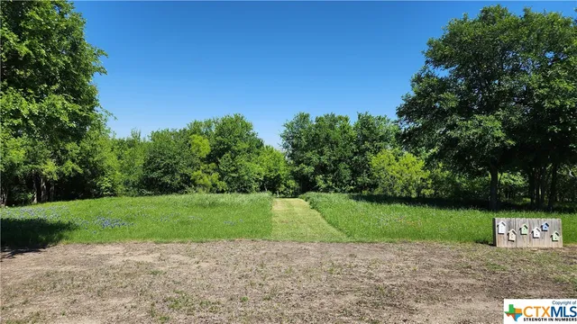 a view of a park with trees