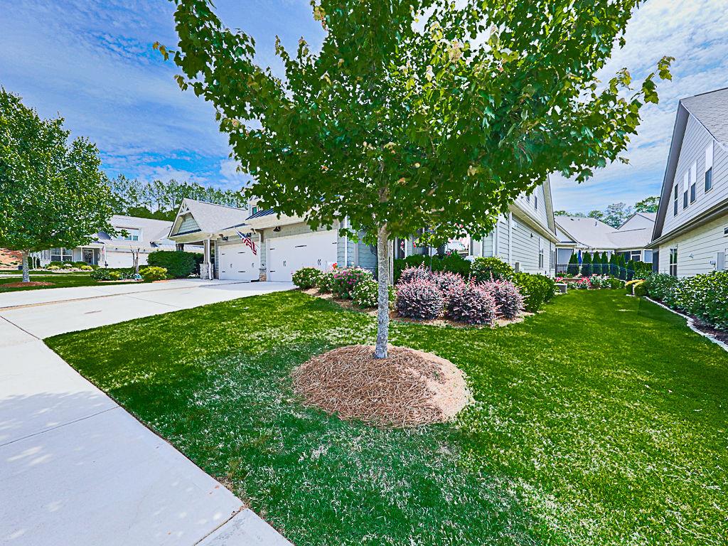 211 Misty View Drive Canton, GA 30114 - Photo 5 of 75