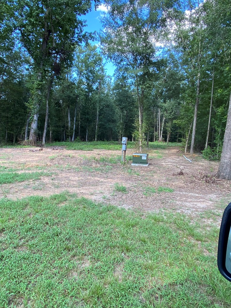 1001 Crawford Creek Road Cowarts, AL 36321 - Photo 11 of 17