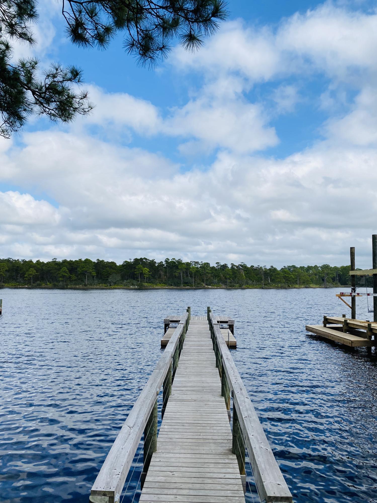 Lot 105 Grand Pointe Cir Inlet Beach Inlet Beach, FL 32461 - Photo 5 of 13