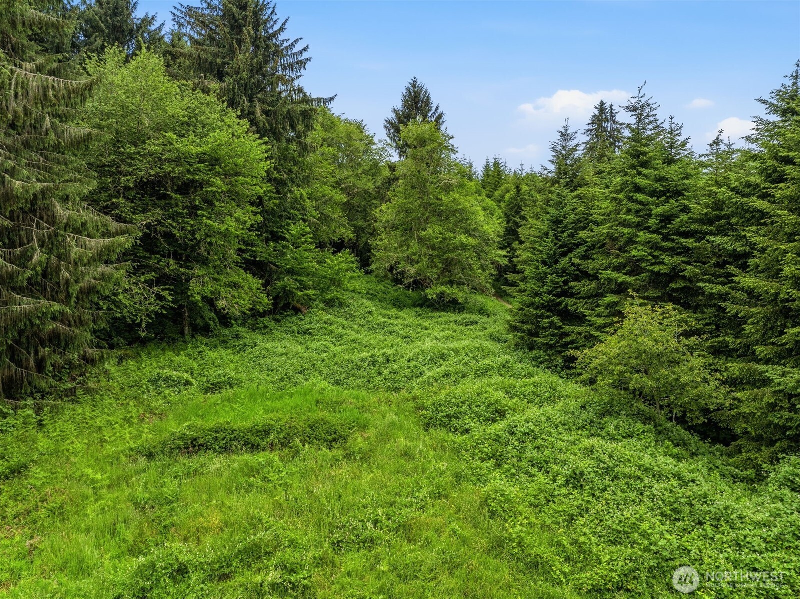 0 East Valley Road Skamokawa, WA 98647 - Photo 5 of 15