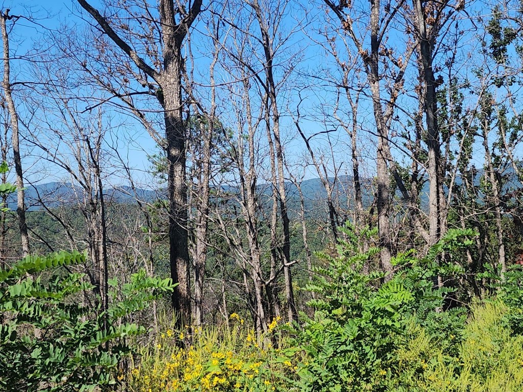 0 Headrick Lead Road Sevierville, TN 37862 - Photo 8 of 13