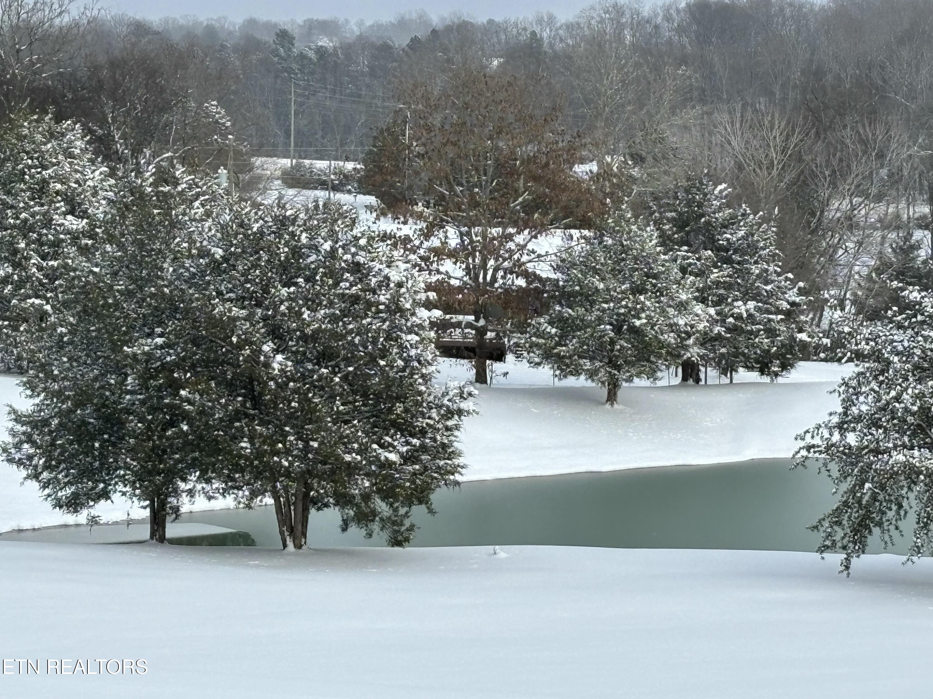 478 Mason Road Madisonville, TN 37354 - Photo 58 of 60 IMG_7378